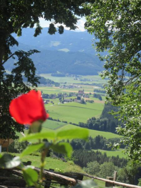 Отель Hochfelner - Stockerhof  Санкт-Петер-Фрайенштайн